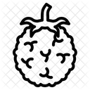 Frambuesa  Icono