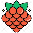 Frambuesa Icono