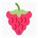 Frambuesas Comida Deliciosa Icono