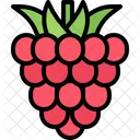 Frambuesas  Icono