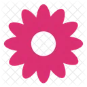 Flowers Nature Plant Icon