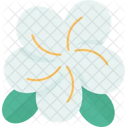 Frangipani  Icon