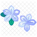 프랜지파니 꽃 열대 아이콘