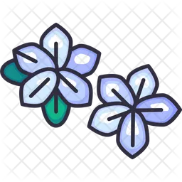 Frangipani  Icon