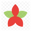 Frangipani Flower Blossom Icon