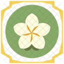 Frangipani Flower Pattern Plumeria Symbol