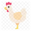 Frango  Ícone