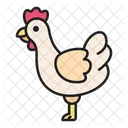 Frango  Ícone