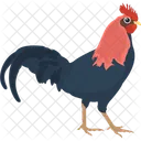 Frango  Ícone