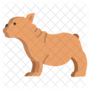 Französische Bulldogge  Symbol