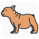 Französische Bulldogge  Symbol