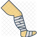  Ícone