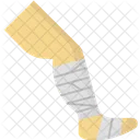  Ícone