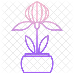 Frauenschuh-Orchideenpflanze  Symbol