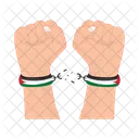 Freedom Flag Nation Icon