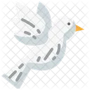 Freedom  Icon