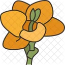 Freesia Flower Blossom Icon