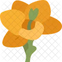 Freesia Flower Blossom Icon