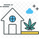 Aussenpflanze Im Freien Pflanze Symbol