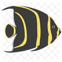 French Angelfish Sea Creature Animal Icon
