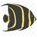 French Angelfish Sea Creature Animal Icon
