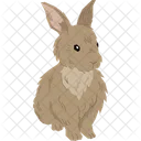French Angora Rabbit  Icon