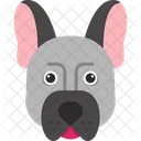French Bulldog Pet Bulldog Icon