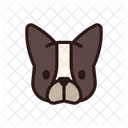 French Bulldog Dog Puppy Icon