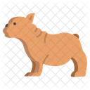 French Bulldog  Icon