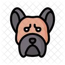 French Bulldog Dog Animal Icon
