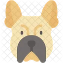 French Bulldog Animal Pets Icon