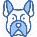French Bulldog Animal Pets Icon