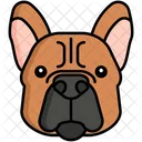 French Bulldog dog  Icon