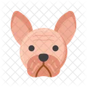 French Bulldog Pet Dog Dog Icon