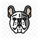 French Bulldog Dog Icon