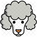 French Poodle  Icon