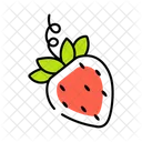 Fragaria Fresa Fruta Icon