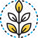 Fresh Green Natural Icon