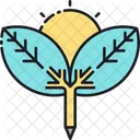 Fresh Content Oraganic Contenet Content Icon