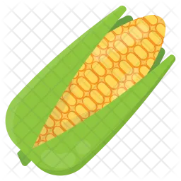 Fresh Corn  Icon