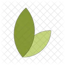Fresh eco friendly leaves green  Icon