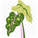 Fresh Green Leaves Fresh Leaves Nature Icon