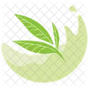 Fresh green tea drink  Icon