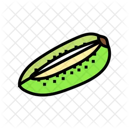 Fresh Kiwi Cut  Icon