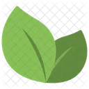 Fresh Leaves Herbs Icon