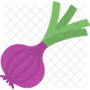 Food Healthy Onion Icône