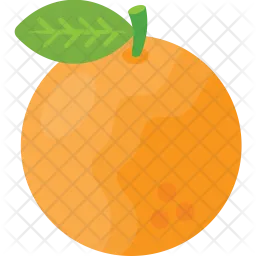 Fresh Orange  Icon