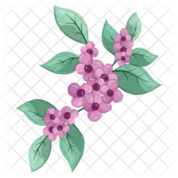 Fresh Petiole small flowers  Icon