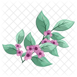 Fresh Petiole small flowers  Icon