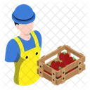 Tomatoes Basket Farmer Fruiterer Icon